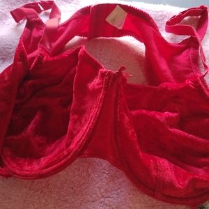 Red velvety bra
